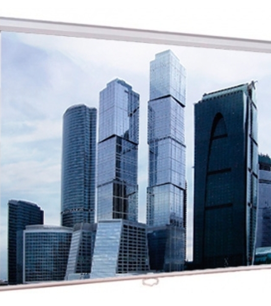 Экраны LUMIEN Eco Picture LEP-100101, 150х150 см, 1:1