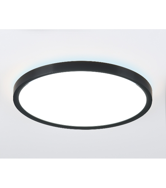 Потолочный светодиодный светильник Ambrella light FZ3055 BK черный IP44 33W+10W 6400+6400К D370*40 (Без ПДУ)