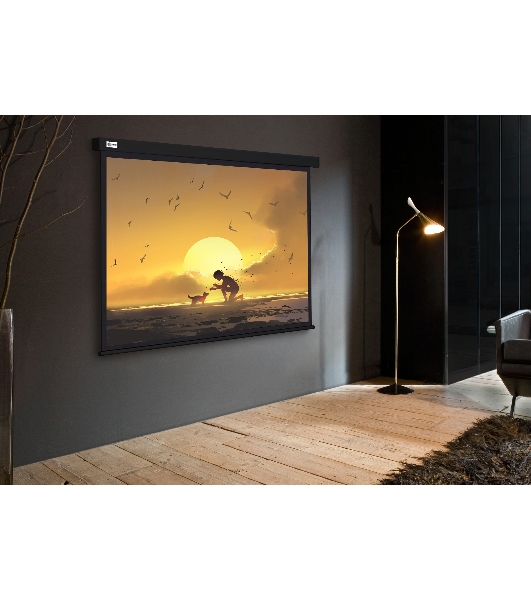 Экран Cactus 150x150см Wallscreen CS-PSW-150X150-BK 1:1 настенно-потолочный рулонный черный