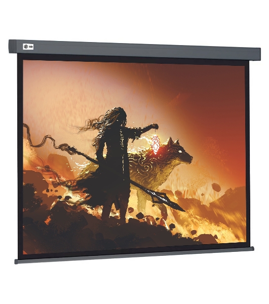 Экран Cactus 213x213см Wallscreen CS-PSW-213X213-SG 1:1 настенно-потолочный рулонный серый