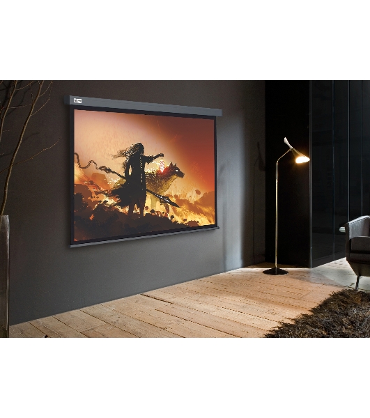 Экран Cactus 213x213см Wallscreen CS-PSW-213X213-SG 1:1 настенно-потолочный рулонный серый