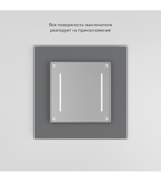 Умный сенсорный выключатель двухклавишный (серебряный) W4523006
