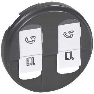 Лицевая панель двойной розетки RJ45, графит