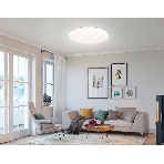 Светодиодный светильник RGB Ambrella light FZ418 WH белый IP20 66W 3000K-6500K+RGB D480*65 (ПДУ ИК), фото11