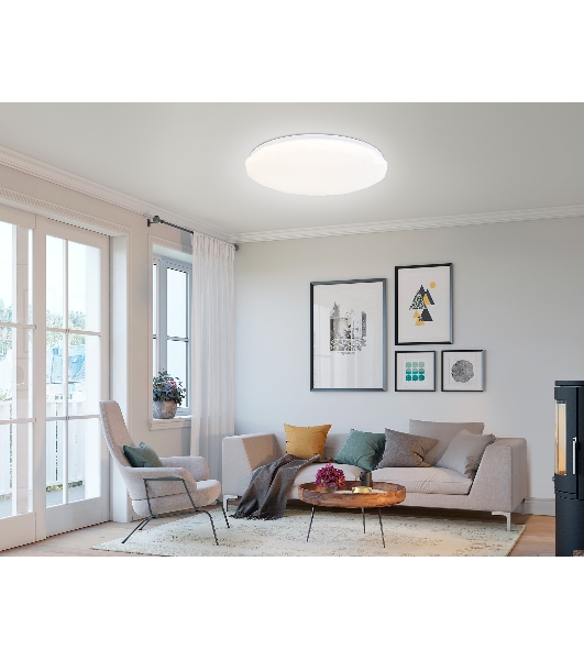 Светодиодный светильник RGB Ambrella light FZ418 WH белый IP20 66W 3000K-6500K+RGB D480*65 (ПДУ ИК)