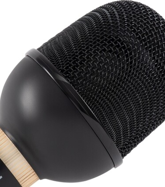 Микрофон беспроводной Hyundai H-MIC101 черный