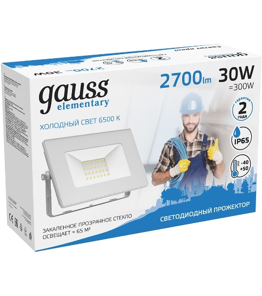 Прожектор светодиодный Gauss Elementary 30Вт 2100лм IP65 6500К бел.