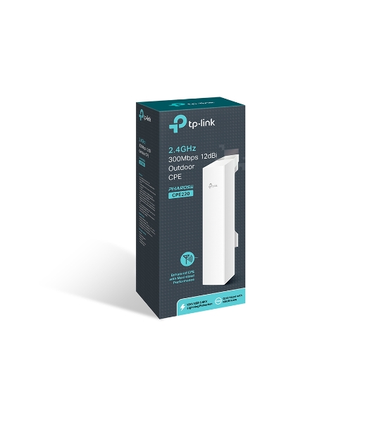 Наружная беспроводная точка доступа TP-Link SMB CPE220 Wi-Fi