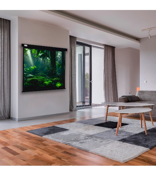 Экран Cactus 213x213см Wallscreen CS-PSW-213X213-BK 1:1 настенно-потолочный рулонный черный