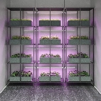Прозрачный Светильник Gauss Fito TL LED линейный 15W 3000K 1172мм (Full spectrum) 1/25, фото 1