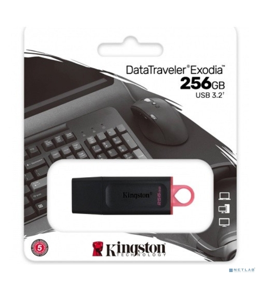 Флешка USB Kingston DataTraveler Exodia (DTX/256GB), 256Gb, USB 3.2 Gen 1, R/W 200/60, черный/розовый