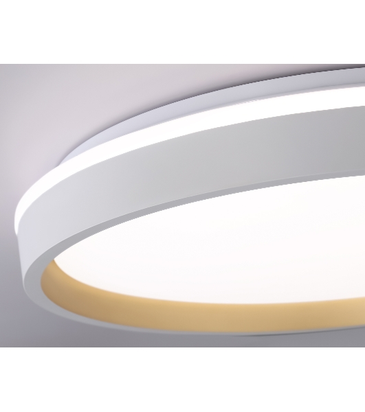 Светодиодный светильник RGB Ambrella light FZ607 WH/GD белый/золото IP20 66W 3000K-6500K+RGB D490*85 (ПДУ ИК)