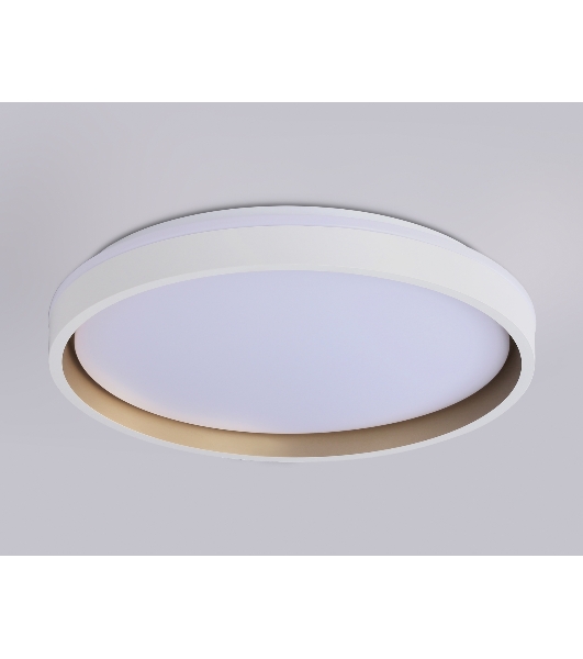 Светодиодный светильник RGB Ambrella light FZ607 WH/GD белый/золото IP20 66W 3000K-6500K+RGB D490*85 (ПДУ ИК)