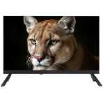 Телевизор TopDevice 24' TDWC24BH1000I черный DLED HD 60Hz, фото9