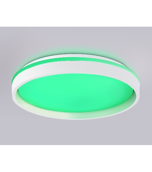 Светодиодный светильник RGB Ambrella light FZ607 WH/GD белый/золото IP20 66W 3000K-6500K+RGB D490*85 (ПДУ ИК)