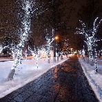 Гирлянда Neon-night LED Клип-лайт 12 V, прозрачный ПВХ, 150 мм, цвет диодов белый, фото2