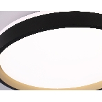Светодиодный светильник RGB Ambrella light FZ610 BK/GD черный/золото IP20 66W 3000K-6500K+RGB D490*85 (ПДУ ИК), фото16