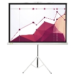Экран для проектора Cactus CS-PST-180x180, 100 ', 1:1, напольный, рулонный, белый  матовый, фото6