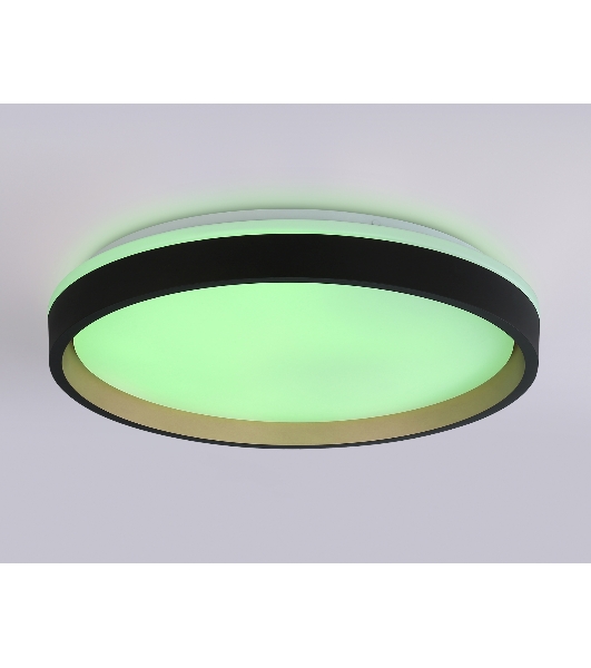 Светодиодный светильник RGB Ambrella light FZ610 BK/GD черный/золото IP20 66W 3000K-6500K+RGB D490*85 (ПДУ ИК)