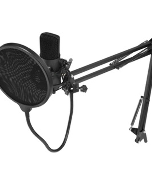 Микрофон проводной Оклик SM-700G 2.5м черный