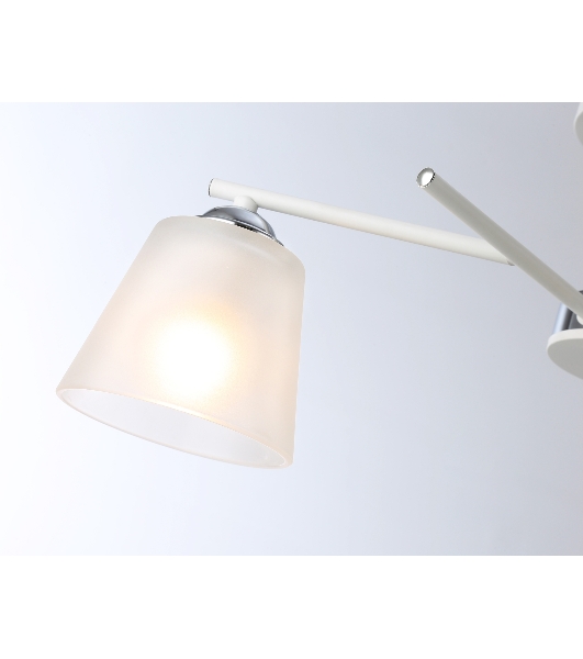 Светильник Ambrella light TR303201/2 WH/CH/FR белый/хром/белый матовый E27*2 max 60W 470*370*260