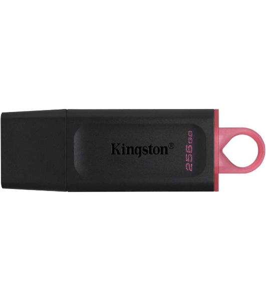Флешка USB Kingston DataTraveler Exodia (DTX/256GB), 256Gb, USB 3.2 Gen 1, R/W 200/60, черный/розовый
