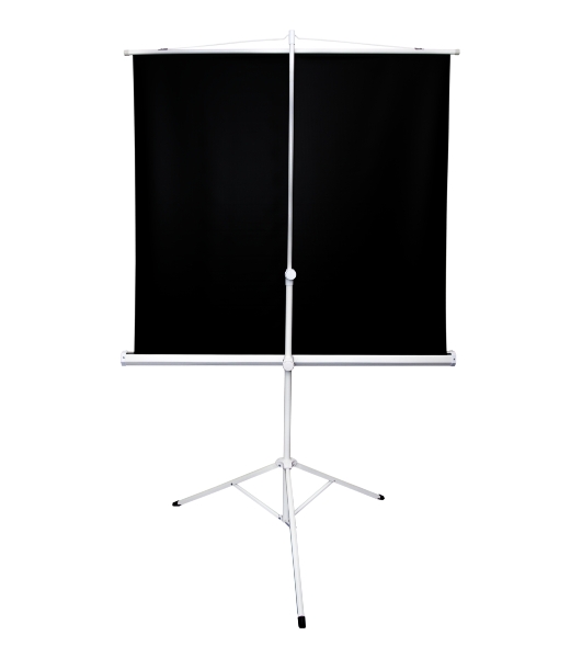 Экран 221x124.5см TriScreen 16:9 напольный рулонный белый100' Matt White (MW), серый корпус