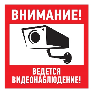 Табличка ПВХ информационный знак Rexant 'Внимание, ведется видеонаблюдение' 200х200 мм