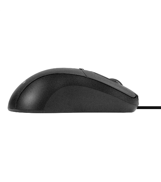 Мышь проводная ExeGate Professional Standard B100L черный, 1000 dpi, USB, кнопки - 3