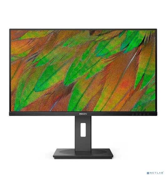 Монитор 31.5' Philips 32B1N3800 VA 3840x2160, 60 Гц, 4 мс, 16:9, 350 кд/м², 2xHDMI 2.0, DP 1.4, 3.5 Jack, USB Hub (4x USB 3.2 Gen1), динамики (2x3 Вт), HDR10, черный