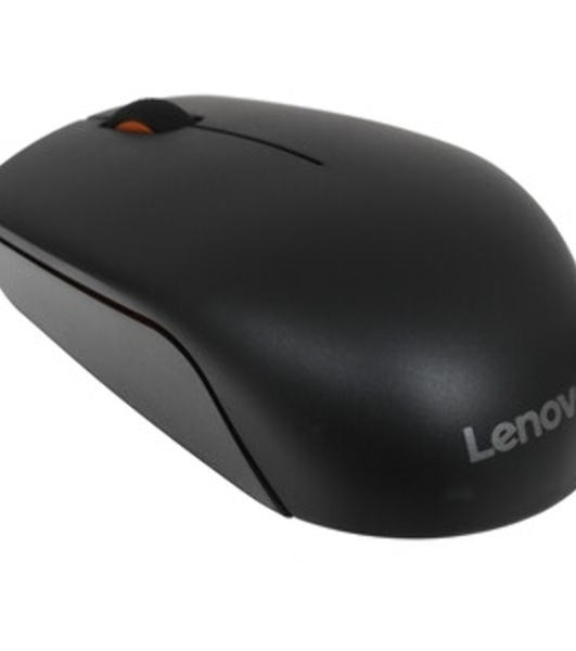 Мышь беспроводная Lenovo 300 светло-серый, 1000 dpi, радиоканал, USB, кнопки - 3