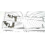 Петли для ноутбука Lenovo IdeaPad B40 B40-30 B40-45 B40-70, фото 1