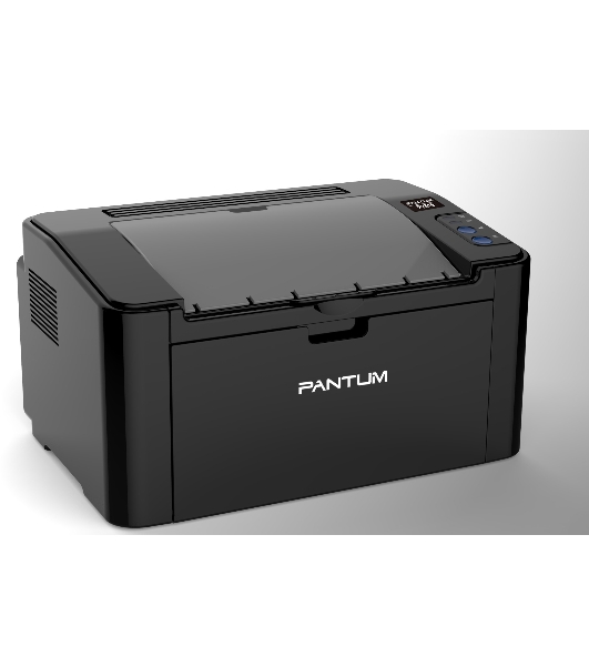 Принтер лазерный PANTUM P2516, A4, ч/б, печ. до 22 стр./мин., 600 x 600 dpi, USB, черный корпус