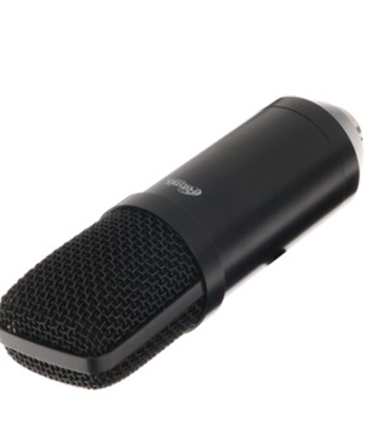 Микрофон Ritmix RDM-169 черный