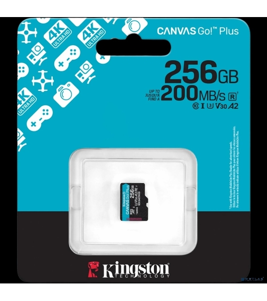 Флеш карта microSDXC 256Gb Kingston SDCG4/256GbSP Canvas Go! Plus V10 A2 w/o adapter