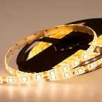 Лента светодиодная силикон, 10 мм, IP65, SMD 5050, 60 LED/m, 12 V, цвет свечения теплый белый, фото 1