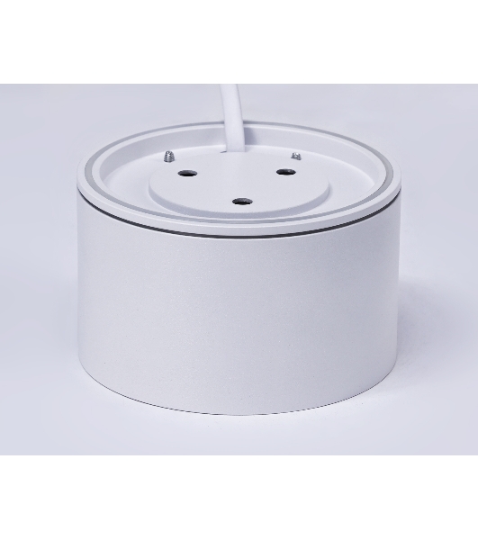 Светильник Ambrella light TN6522 SWH белый песок IP44 GX53 D85*50