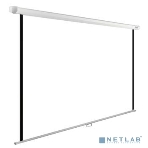 Экран Cactus 220x220см WallExpert CS-PSWE-220x220-WT 1:1 настенно-потолочный рулонный, фото5