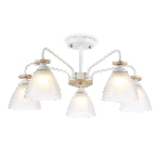 Светильник Ambrella light TR9567/5 WH/FR белый/белый матовый E27/5 max 40W D620*250, фото 1