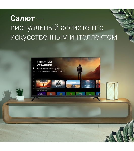 Телевизор Digma 40' DM-LED40SBB36 черный LED FHD 60Hz Салют ТВ