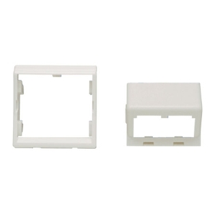 Панель Panduit CFPFS2AW центр. накл. на 2 модуля наклонная,+ рамка 45x45