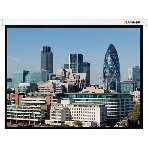 Экран Lumien Master Control LMC-100102 180x180см Matte White FiberGlass, с электроприводом, фото2