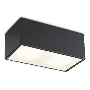Светильник Ambrella light TN6535/2 BK черный IP44 GX53/2 200*100*80