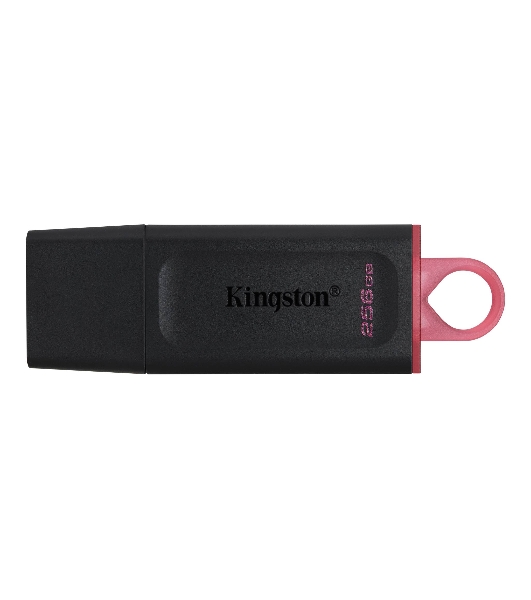 Флешка USB Kingston DataTraveler Exodia (DTX/256GB), 256Gb, USB 3.2 Gen 1, R/W 200/60, черный/розовый