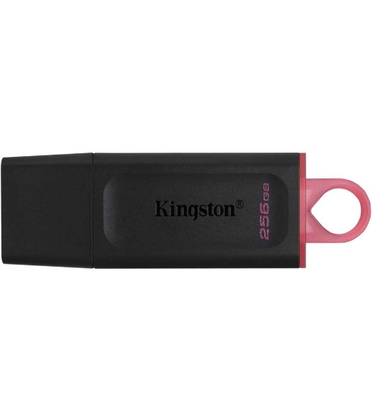 Флешка USB Kingston DataTraveler Exodia (DTX/256GB), 256Gb, USB 3.2 Gen 1, R/W 200/60, черный/розовый