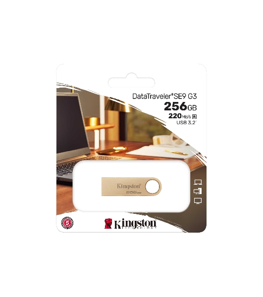 Флешка USB Kingston DataTraveler SE9 G3 (DTSE9G3/256Gb), 256Gb, USB 3.2 Gen 1, R/W 220/100, золотистый