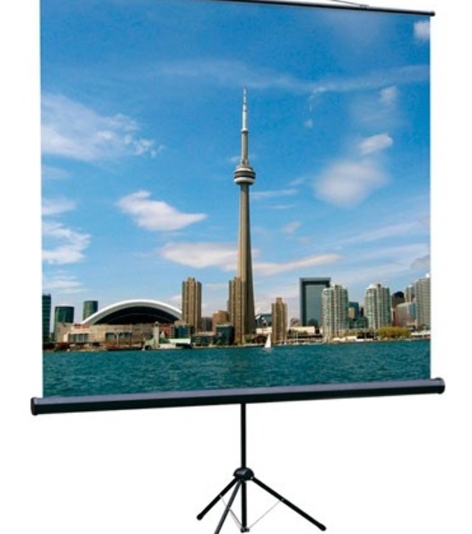 Экран на треноге Lumien 160x160см Eco View LEV-100105 1:1 напольный рулонный