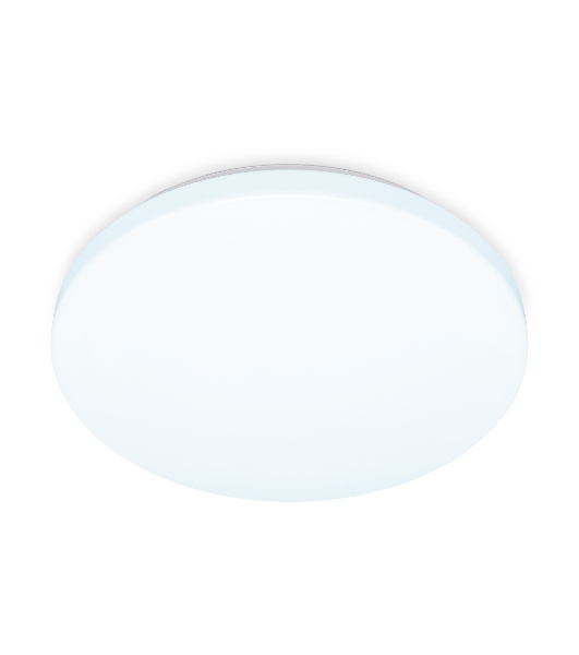 Потолочный светодиодный светильник Ambrella light FZ1009 WH белый 21W 6400K D320*55 (Без ПДУ)