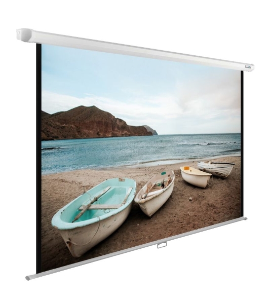 Экран Cactus 138x220см WallExpert CS-PSWE-220x138-WT 16:10 настенно-потолочный рулонный белый
