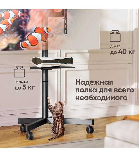 Стойка для телевизора ONKRON TS1137 черный 23'-60' макс.45кг напольный мобильный